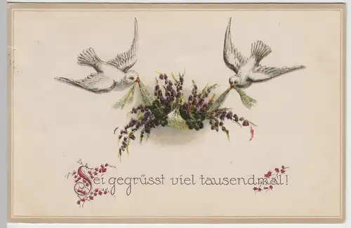 (45902) AK Grußkarte -Sei gegrüßt viel tausendmal-, Tauben, 1917