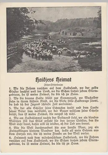 (45894) AK Liedkarte Haidjers Heimat, Friesenlied, vor 1945