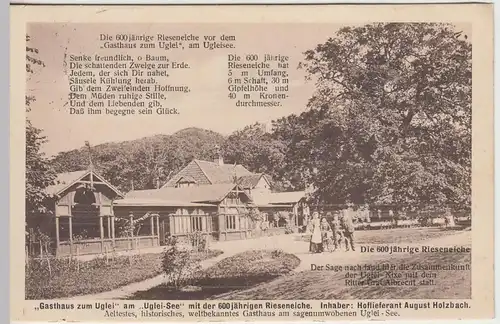 (45847) AK Gasthaus zum Uglei am Ugleisee m. 600-jähriger Eiche, 1926