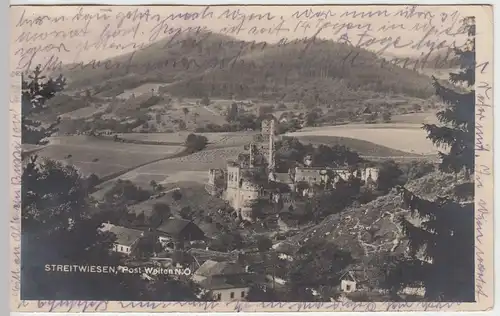 (45598) Foto AK Streitwiesen, Totale, Blick zur Burg, 1925