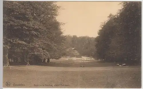 (45592) AK Brüssel, Bruxelles, Bois de la Cambre, chalet Robinson, vor 1945