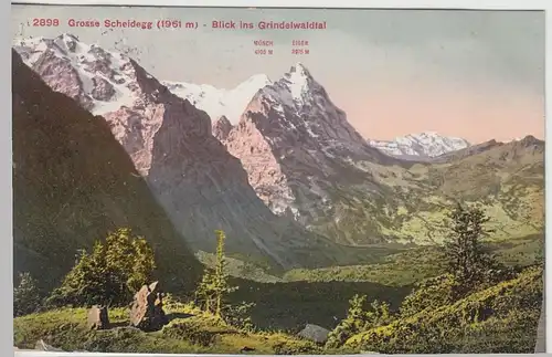 (45475) AK Große Scheidegg, Blick ins Grindelwaldtal, 1913