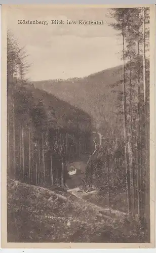 (44931) AK Köstenberg (Presseck), Blick ins Köstental, 1929