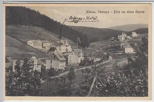 (44916) AK Altenau, Blick ins kleine Okertal, 1929
