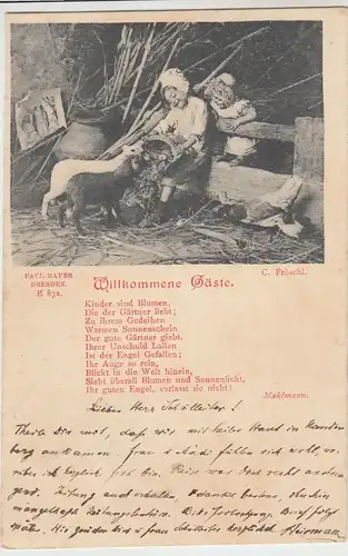 (44854) AK Kinder füttern Lämmlein "Willkommene Gäste", 1901