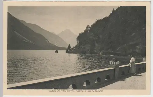 (44431) AK Plansee, Ausblick vom Hotel -Forelle-, vor 1945