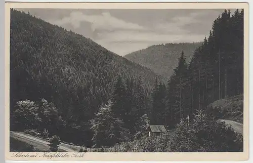 (43840) AK Knöpfelstaler Teich, Schortetal, Thür. Wald 1934