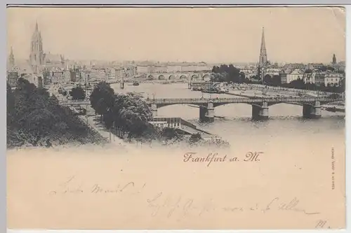 (43489) AK Frankfurt am Main, Panorama 1897