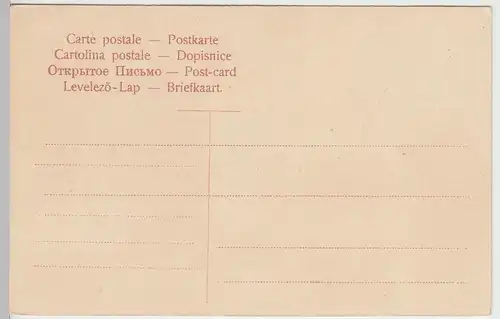 (43462) AK Insel Mainau, Bodensee, Partie im Schlossgarten, nach 1905