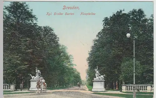 (43297) AK Dresden, Großer Garten, Hauptallee, vor 1945