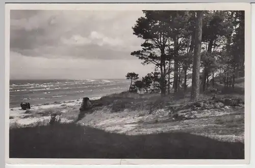 (43241) Foto AK Lubmin, Kiefern, Strand, Meer 1937