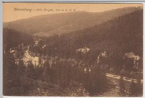 (43081) AK Bärenburg, Erzgeb., Panorama, vor 1945