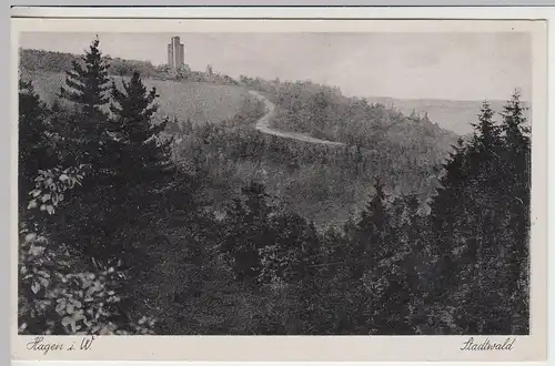 (43056) AK Hagen in Westf., Stadtwald, Eugen-Richter-Turm 1942