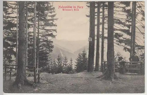 (42836) AK Hahnenklee, Harz, Wilmsens Blick 1912