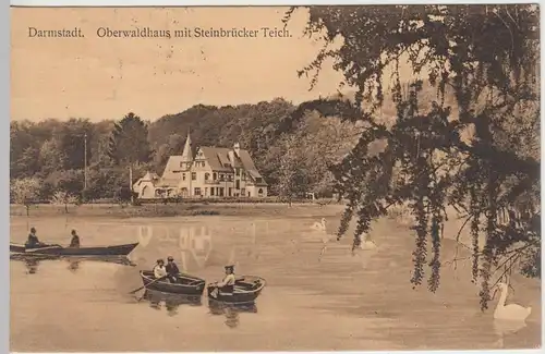 (42826) AK Darmstadt, Oberwaldhaus, Steinbrücker Teich 1913