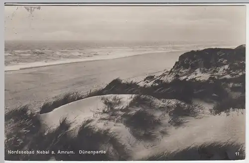 (42493) Foto AK Nebel, Amrum, Dünenpartie 1930