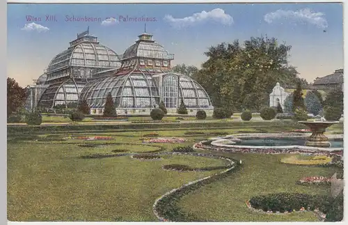 (42242) AK Wien, Schloss Schönbrunn, Palmenhaus, vor 1945
