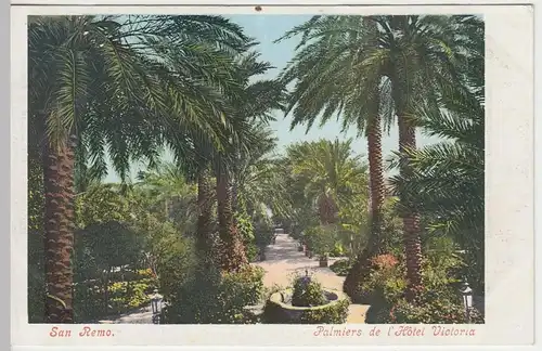 (42239) AK San Remo, Palmen im Garten des Hotel Victoria, bis um 1905