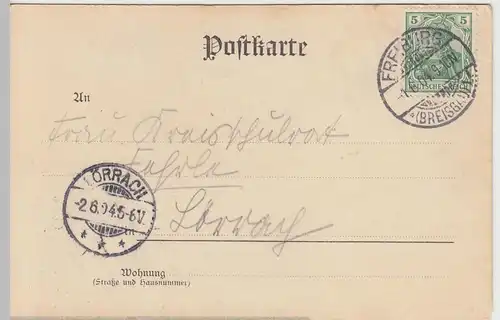 (42095) AK Freiburg im Breisgau, Waldsee, Ruderboot 1904