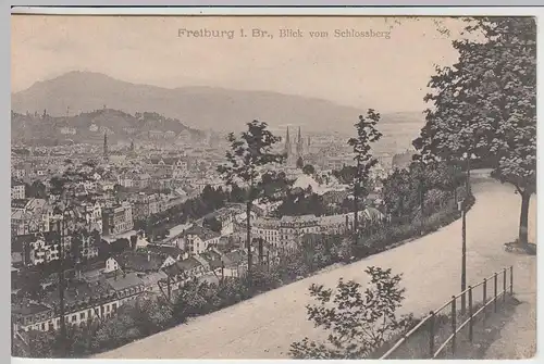 (42087) AK Freiburg im Breisgau, Blick vom Schlossberg, vor 1945