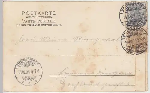 (42086) AK Freiburg im Breisgau, Panorama 1904