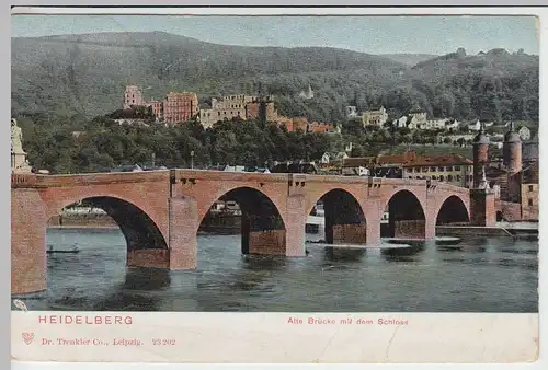 (42075) AK Heidelberg, Alte Brücke, Schloss 1907