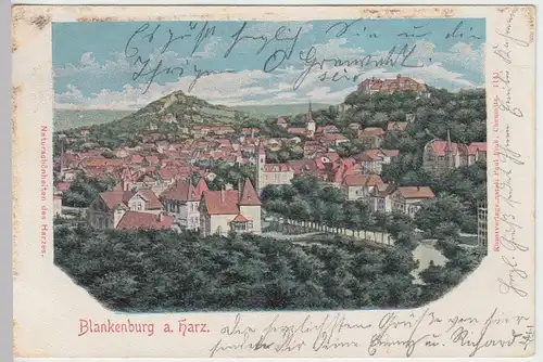 (42000) AK Blankenburg, Harz, Panorama 1901