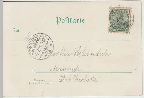 (42000) AK Blankenburg, Harz, Panorama 1901