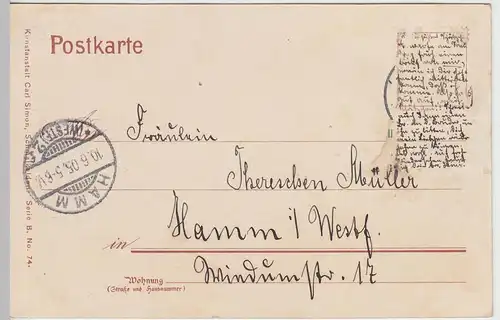 (41762) AK Schwarzatal, Blick v.d. Ingoklippe m. Waidmannsheil, 1905