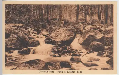 (41721) AK Schierke, Partie an der kalten Bode, vor 1945