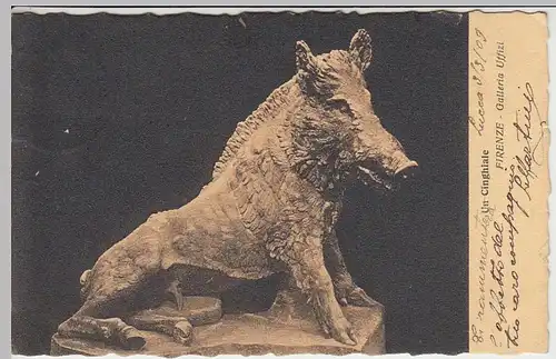 (41398) AK Skulptur Wildschwein i. Firenze, Galleria Uffizi, 1909