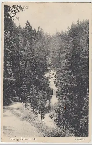 (41139) AK Triberg, Wasserfall, 1929