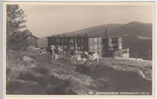 (41076) Foto AK Peterbaude i. Riesengebirge, Petrova Bouda