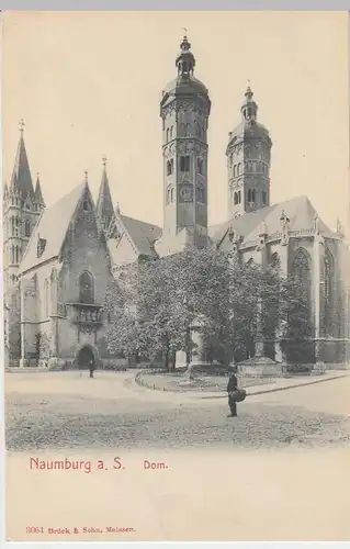 (41011) AK Naumburg a.d. Saale, Dom, um 1906