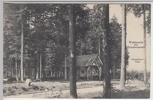 (40695) AK Freudenstadt, Waldpartie m. Rippoldsauer Hütte, 1906