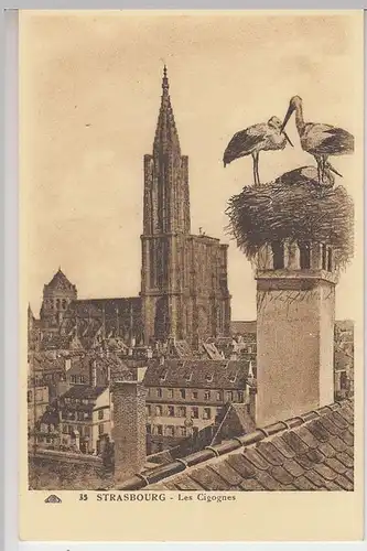 (40455) AK Straßburg, Strasbourg, Les Cigognes, Störche, vor 1945