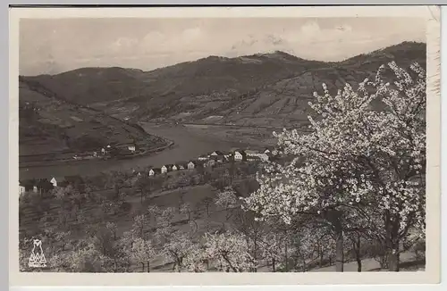 (39762) Foto AK Sebusein a.d. Elbe (Sebuzin), Totale, 1934