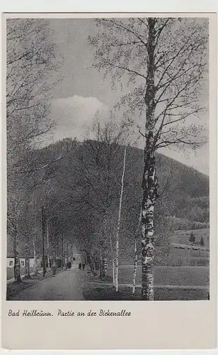 (39346) AK Bad Heilbrunn, Partie an der Birkenallee, 1943