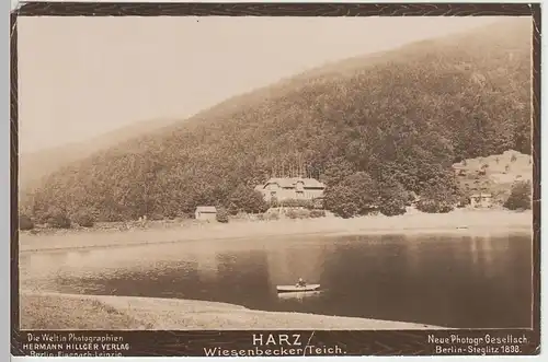 (39278) Foto AK Wiesenbeker Teich (Harz), 1898