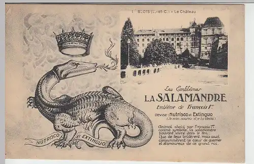 (39237) AK Blois, Schloss, m. Wappentier Salamander, vor 1945
