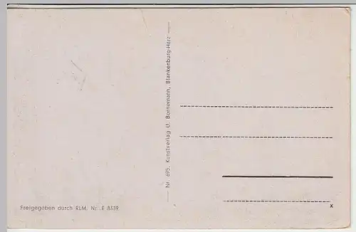 (38708) AK Blankenburg am Harz, Totale 1933-45