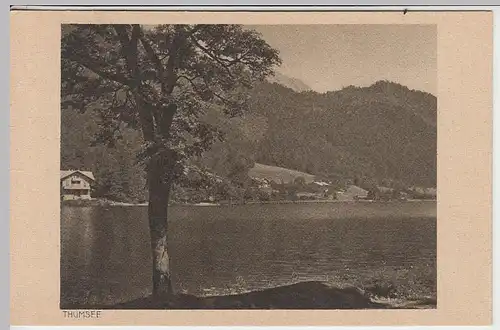 (38699) AK Thumsee bei Bad Reichenhall, vor 1945