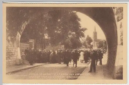 (38385) AK Beauraing, Allee der Grotte u. Baum d. Erscheinung, vor 1945