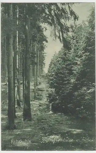 (37948) AK Bad Rothenfelde a. Teutoburger Wald, Fuchskuhle, vor 1945