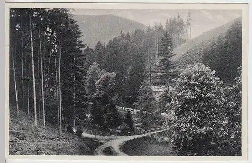 (37806) AK Schwarzatal, Schweizerhaus-Landschaft, 1971