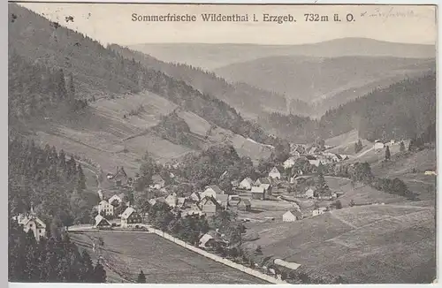 (37634) AK Wildenthal im Erzgeb., Totale, 1915