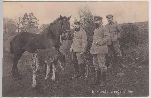 (37368) AK 1.WK Soldaten mit Pferd -Das erste Kriegsfohlen-, 1914-18