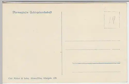 (36862) Foto AK Norwegische Gebirgslandschaft, 1920er