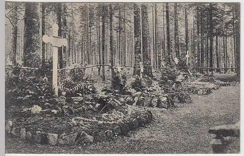 (36543) Foto AK 1.WK Soldatengräber im Wald, Feldpost 1916