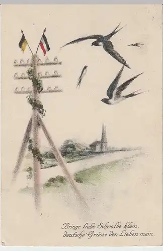 (36492) AK Patriotika, Schwalben überbringen deutsche Grüße, 1916